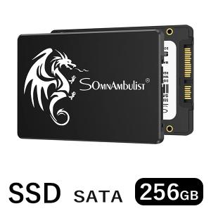 Somnambulist 256GB｜内蔵SSD 外付けSSD｜GJS07 SATAIII 2.5 SSD｜ノートブックPC用 デスクトップpc用｜送料無料