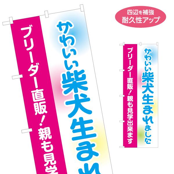 のぼり旗 柴犬生まれましたブリーダー直販 名入れ無料 2サイズ W60×H180cm W50×H15...