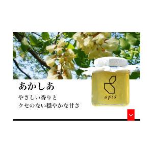 耕野のはちみつ「あかしあ」240g｜apisyohoen