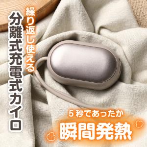 充電式カイロ 2個セット 充電式 カイロ エコ...の詳細画像1
