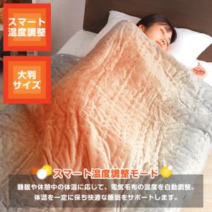 電気毛布 掛け敷き モコモコブランケット 極上...の詳細画像3