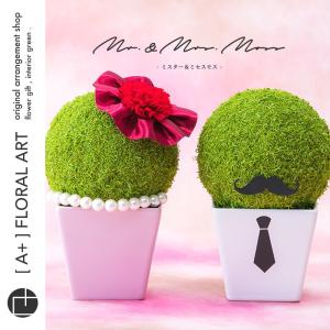 ペアギフト セット Mr.&amp;Mrs. Moss（ミスターアンドミセスモス） / 母の日 父の日 花 プリザーブドフラワー プレゼント ギフト 2017 2017