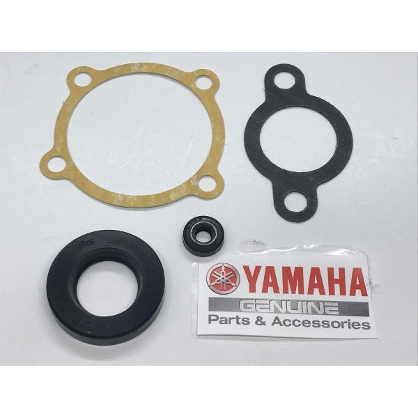 ヤマハ プーリー型 オイルポンプ オーバーホールkit 詳細作業動画 サービスマニュアル付 TDR2...