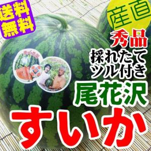 【送料無料】つる付きの山形県尾花沢産すいか３Ｌサイズ１玉(約8k)[7/下旬-8月頃出荷]