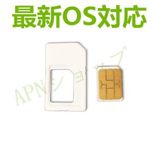 AU iPhone6／6 Plus／6s／6s Plus／7／7 Plus用 NanoSIMサイズカード アクティベートカードactivationアクティベーション【ゆうパケット送料無料】