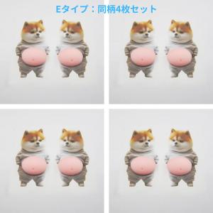 【4枚セット/A〜G・M選択可】おなかぷにぷに...の詳細画像5