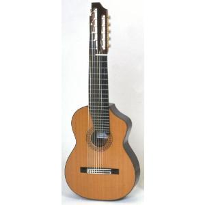 楽器 弦楽器、ギター アストリアス 7弦 クラシックギター 7-STRING ASTURIAS : chuya-online