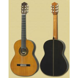 Martinez MC-128C ＜MC128C＞ シダー単板(杉) クラシックギター