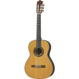 こだわりの日本製】KODAIRA 小平ギター AST-120C/630 シダー 手工品 弦