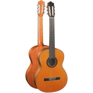 ARIA クラシックギター A-70S-63 スプルース単板トップ : 大谷楽器