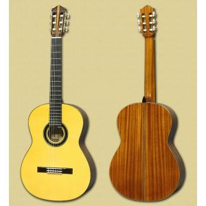 Martinez Contrabass Guitar スプルース単板(松) アンサンブル