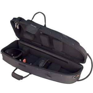 Protec IP309CT (IP-309C...の詳細画像2