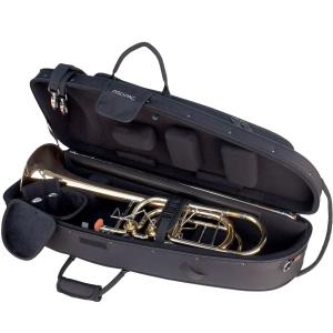 Protec IP309CT (IP-309C...の詳細画像3