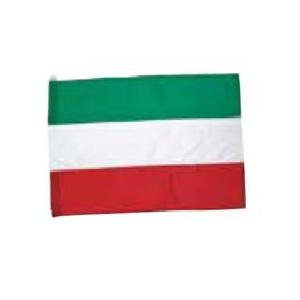 全音 バンビーナ PF-4 カラーガード・フラッグ パレード用 ※ポールは別売です《ゼンオン バトン...