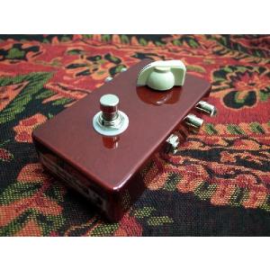 Epiphone（エピフォン） 純正 ES339 専用 ハードケース【 ES339 Casino