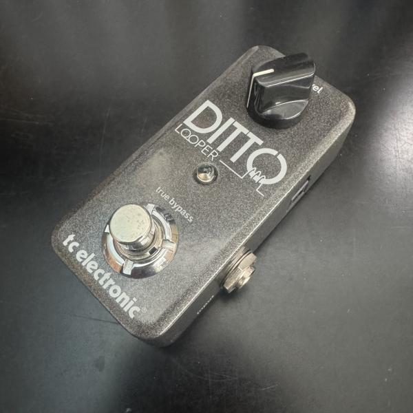 tc electronic Ditto Looper (ルーパー)【新潟店】