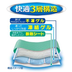 白元アース アイスノンソフト 保冷枕の詳細画像4