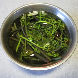 共立 タンサン 50g[2513048]の詳細画像2