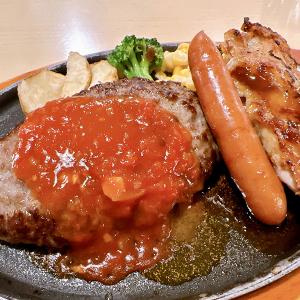 日東ベスト JG(ジョイグルメ) ハンバーグヴ...の詳細画像2