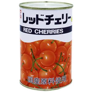 レッドチェリー M 4号缶 (さくらんぼ/国産/缶詰/果物/くだもの/フルーツ) <437135>の商品画像