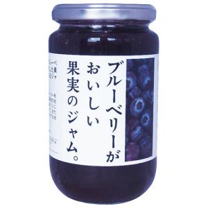 雪印メグミルク デザートソース ブルーベリー 500g [ 474003 ] : A