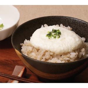 EAST BEE 国産 大和芋とろろ 500g...の詳細画像1