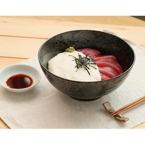 EAST BEE 国産 大和芋とろろ 500g...の詳細画像2