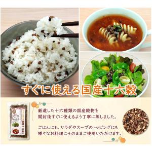 EAST BEE すぐに使える 国産十六穀米 ...の詳細画像1