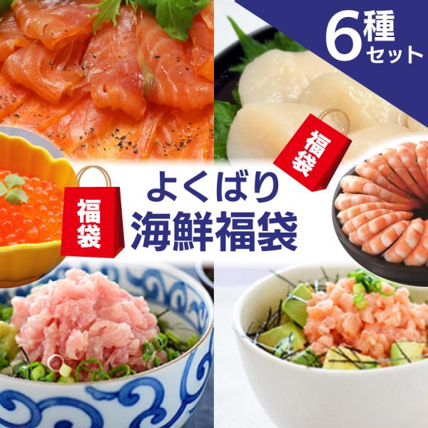 よくばり 海鮮福袋（6種）[ 水産品 海鮮 福袋 セット  詰め合わせ ]
