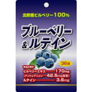 ブルーベリー&ルテイン 36球 【メール便対応、メール便発送5個まで】｜apotheke