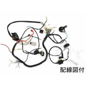 12Vシャリィ（シャリー）用 メインハーネス 左右スイッチ 電装フル