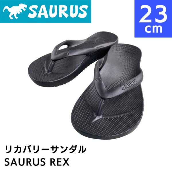 サウルス リカバリーサンダル ブラック SAURUS REX BLACK 23cm メンズ レディー...