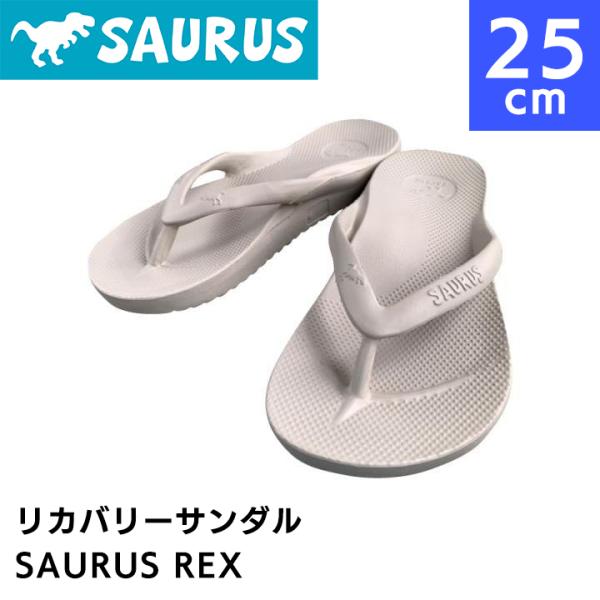 サウルス リカバリーサンダル サンド SAURUS REX SAND 25cm メンズ レディース ...