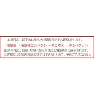遠近両用コンタクト 2week 2ウィークメニ...の詳細画像1