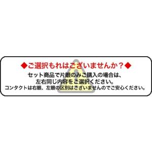 遠近両用コンタクト 2week 2ウィークメニ...の詳細画像3