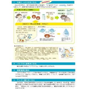 『いい水素水』スティック【アルカリ還元水素水ス...の詳細画像3