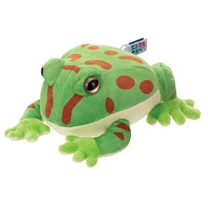 イワヤ エココエカエル (ベルツノガエル) 1099-1 ワンサイズの商品画像