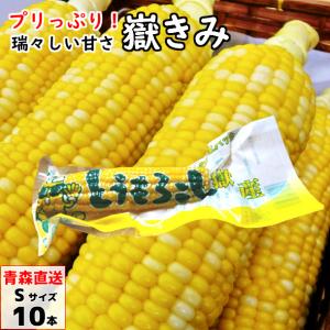 嶽きみ（真空パック） Sサイズ 10本 青森県産 だけきみ ダケキミ