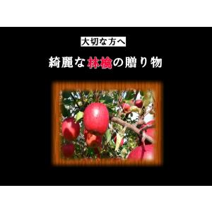 贈答用 りんご サンふじ ギフト リンゴ 林檎...の詳細画像1