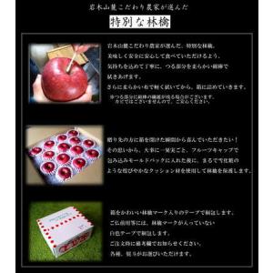 贈答用 りんご サンふじ ギフト リンゴ 林檎...の詳細画像3