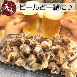 珍味 おつまみ 磯焼ほたて貝 110g いそや...の詳細画像1