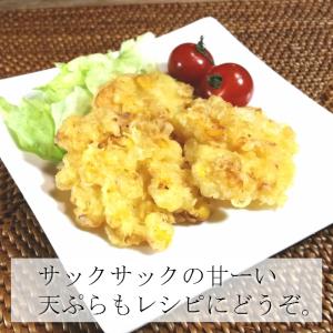嶽きみ だけきみ 10本入 L-2Lサイズ 青...の詳細画像3