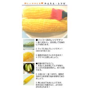 嶽きみ だけきみ 10本入 L-2Lサイズ 青...の詳細画像5