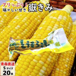 嶽きみ(真空パック) Sサイズ 20本 青森県産...の商品画像
