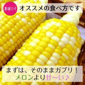 嶽きみ(真空パック) Sサイズ 20本 青森県...の詳細画像1