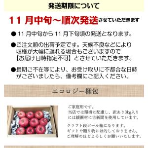 りんご サンふじ 訳あり リンゴ 林檎 3kg...の詳細画像4