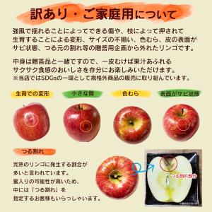 りんご サンふじ 訳あり リンゴ 林檎 3kg...の詳細画像5