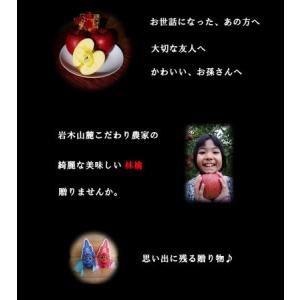 贈答用 りんご サンふじ ギフト リンゴ 林檎...の詳細画像2