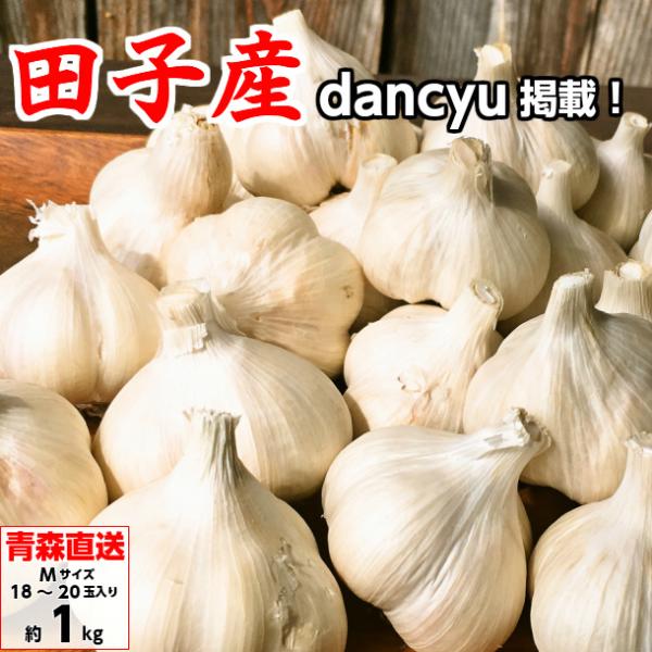 田子にんにく にんにく 青森県産 ニンニク 訳あり Mサイズ 1kg たっこにんにく タッコニンニク...