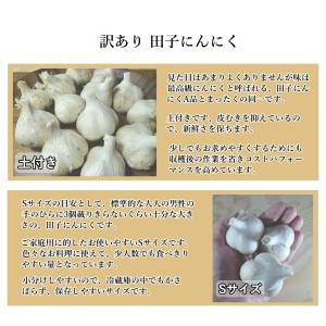 田子にんにく にんにく 青森県産 ニンニク 訳...の詳細画像5